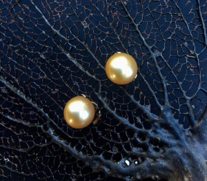Jewelmer Golden SS pearl earrings