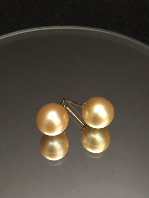 Golden South Sea Pearl Earrings