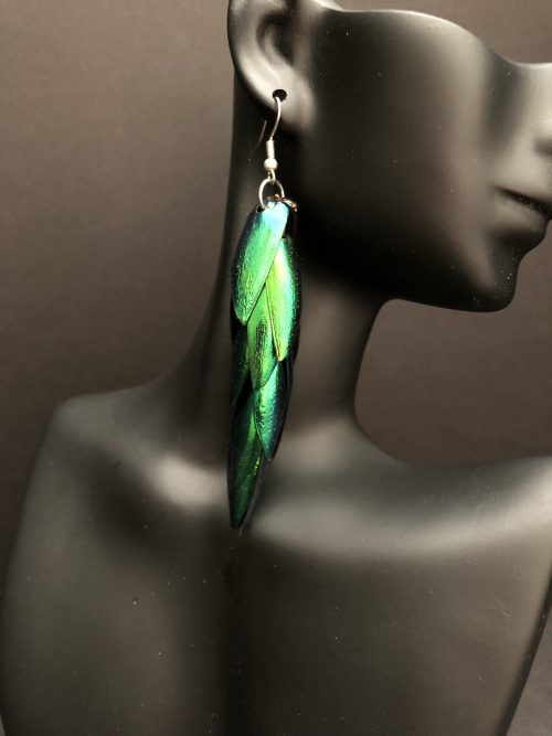 Elytra earrings, by Cashmere and Pearls